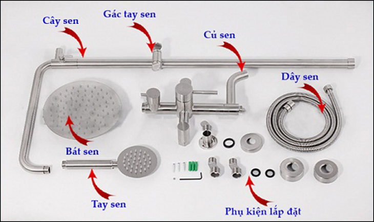 Cấu tạo tinh gọn của cây sen thông thường​